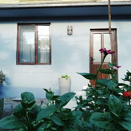 Rudolf Appartement Bordzjomi Buitenkant foto